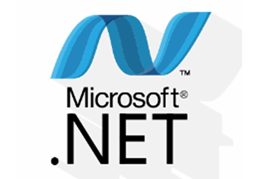Microsoft .NET Specialists